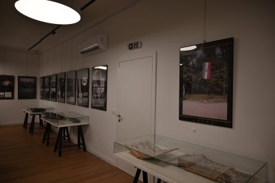 DSC_2227