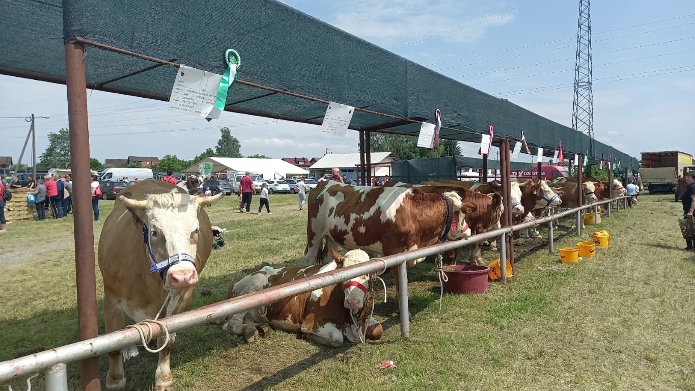 U subotu, 3. lipnja 2023. godine u Popovači je održana 14. izložba stoke Sisačko-moslavačke županije koju je nazočila pročelnica UO za poljoprivredu, ruralni razvoj, zaštitu okoliša i prirode Anita Sinjeri Ibrišević.