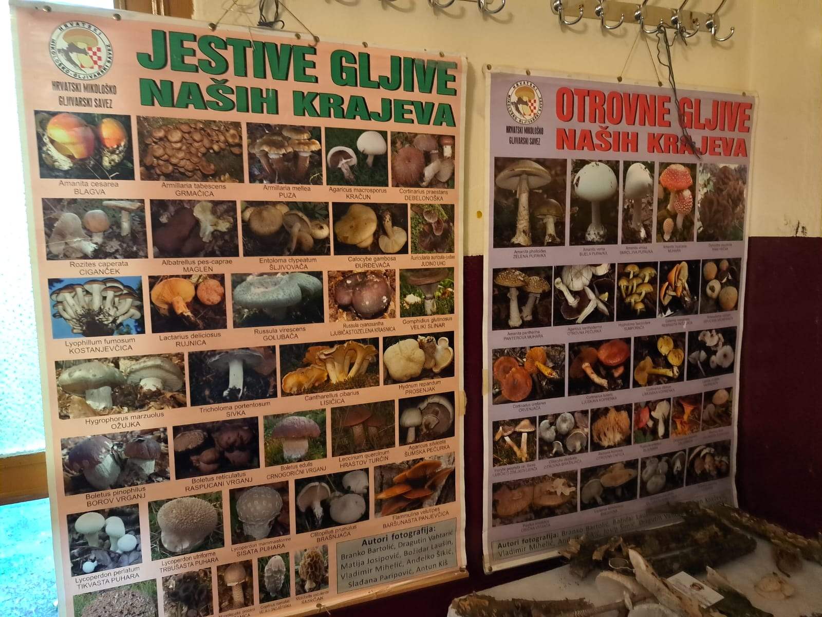 U Gredi Sunjskoj održan je, u organizaciji Gljivarskog društva „Kneginja“ Sisak, tradicionalna, a od ove godine i međunarodna GLJIVARIJADA – FUNGI FEST. 