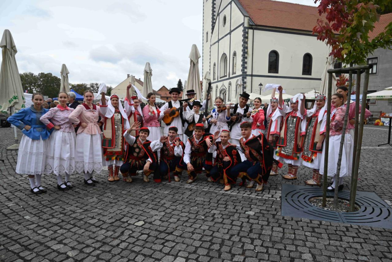 hrvatska_kostajnica_4