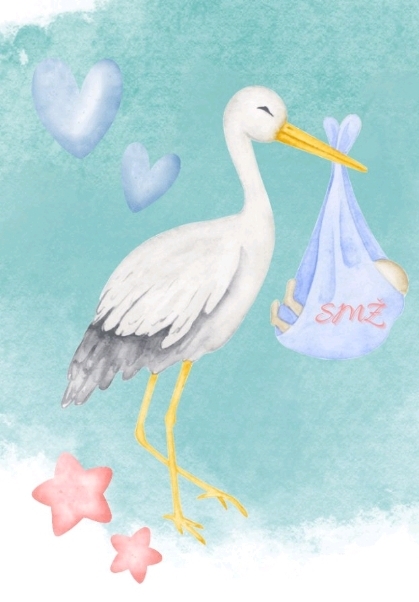 Prva ovogodišnja sisačko-moslavačka beba je maleni Noa iz Popovače. Rodio se u 13.59 sati. Noa je treće dijete u obitelji Macanović.