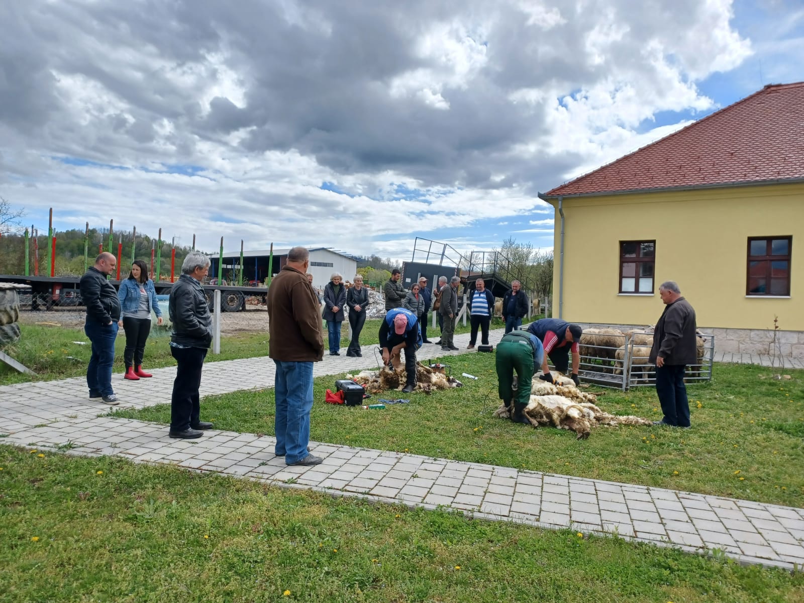 U povodu Međunarodnog dana vune, Općina Majur i Woonko Centar vune su organizirali u subotu, 15. travnja 2023. godine, prvi Festival vune kojim se nastoji osvijestiti važnost očuvanja prirode i prikupljanja vune. Također je demnostrirano striženje ovaca, prikazane su tehnike filcanja, predenja i pletenja.  Festivalu je nazočia Anita Sinjeri Ibrišević, pročelnica Upravnog odjela za poljoprivredu, ruralni razvoj, zaštita okoliša i prirode.