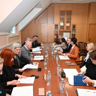 MINISTAR BAČIĆ U RADNOM POSJETU PETRINJI